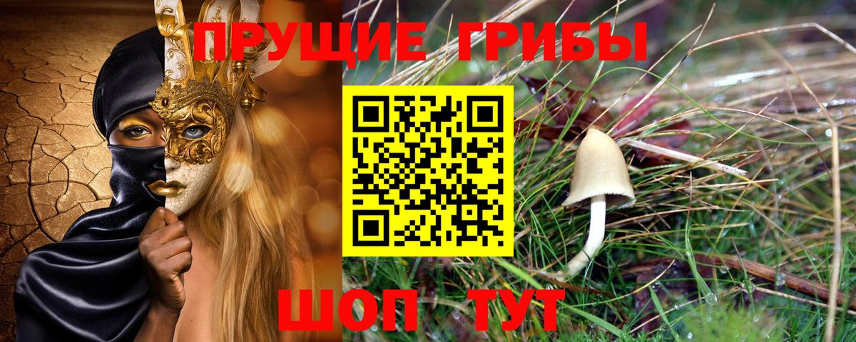Канабис  Каннабис  Звенигород  Вход с VPN  ГАШ  Меф МЯУ МЯУ   A PVP СК  