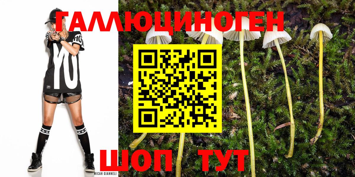 Галлюциногенные грибы ЛСД  Вход с VPN  Звенигород  Галлюциногенные грибы прущие грибы 